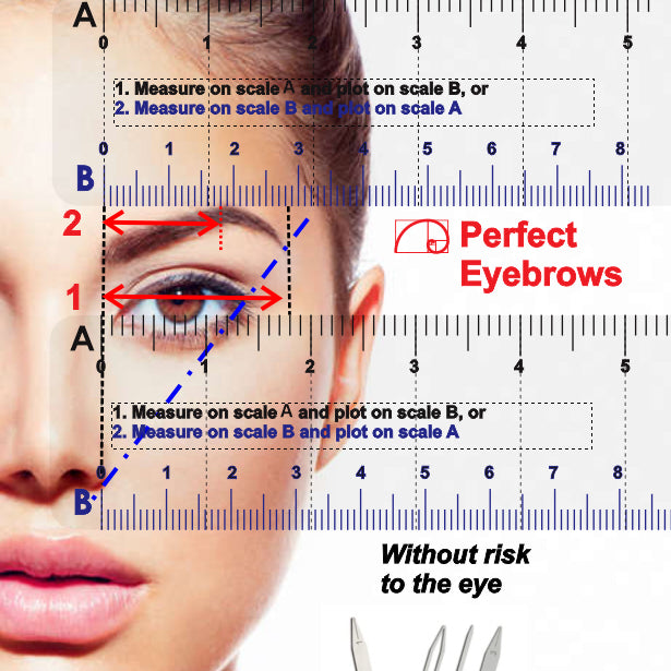 12" No-Math Fibonacci Ruler dimensions and scale reference