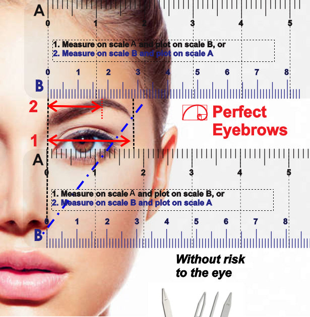 12" No-Math Fibonacci Ruler dimensions and scale reference